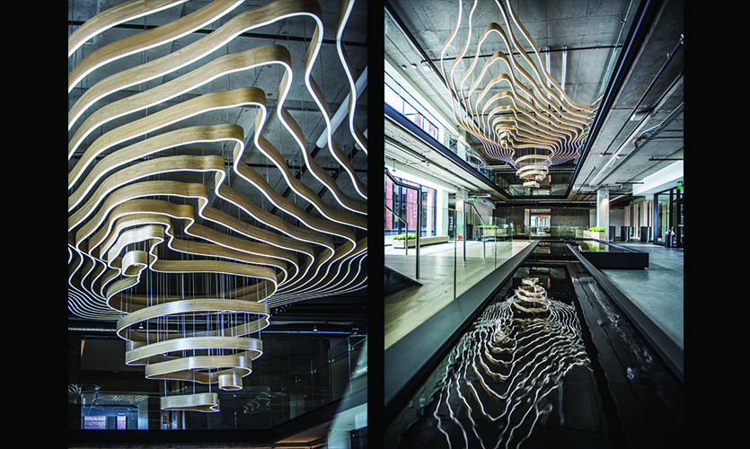 Contours - SEGD - Designers of Experiences