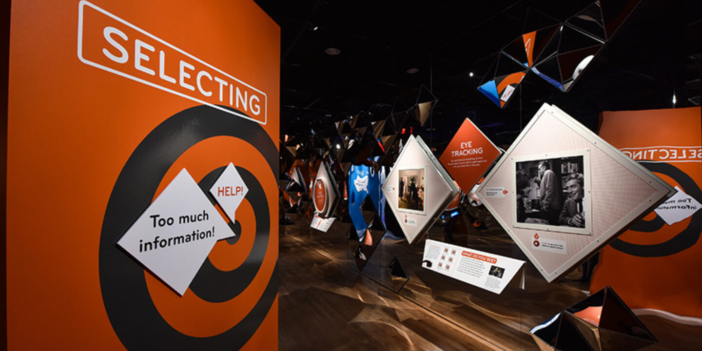 Our Senses: An Immersive Experience - SEGD - Designers of Experiences