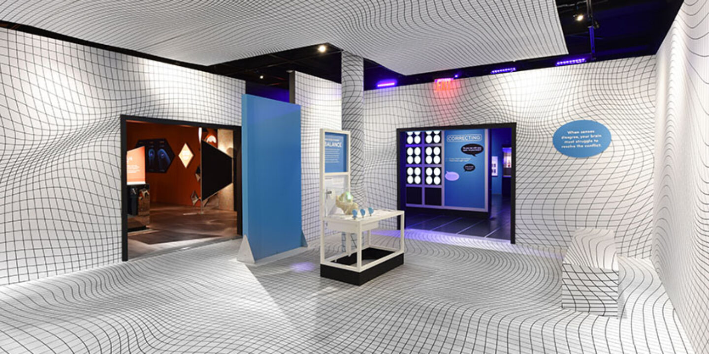 Our Senses: An Immersive Experience - SEGD - Designers of Experiences