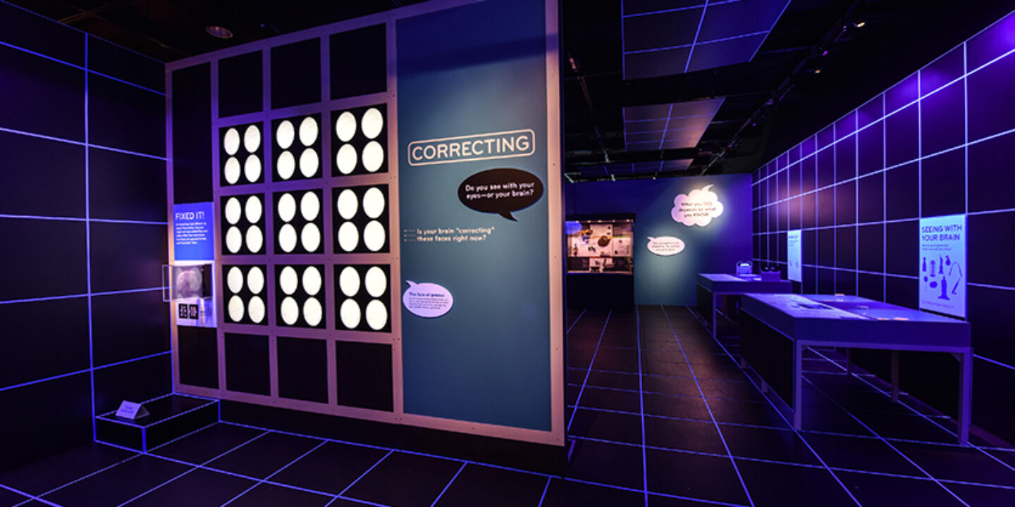 Our Senses: An Immersive Experience - SEGD - Designers of Experiences