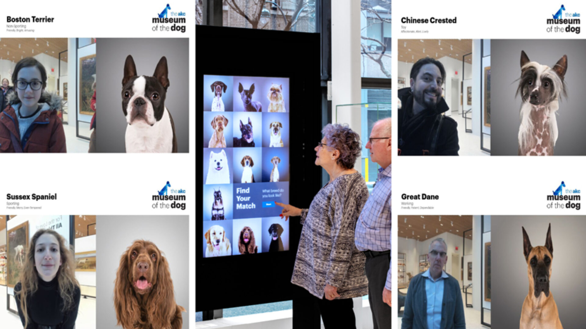 AKC Museum of the Dog - SEGD - Designers of Experiences