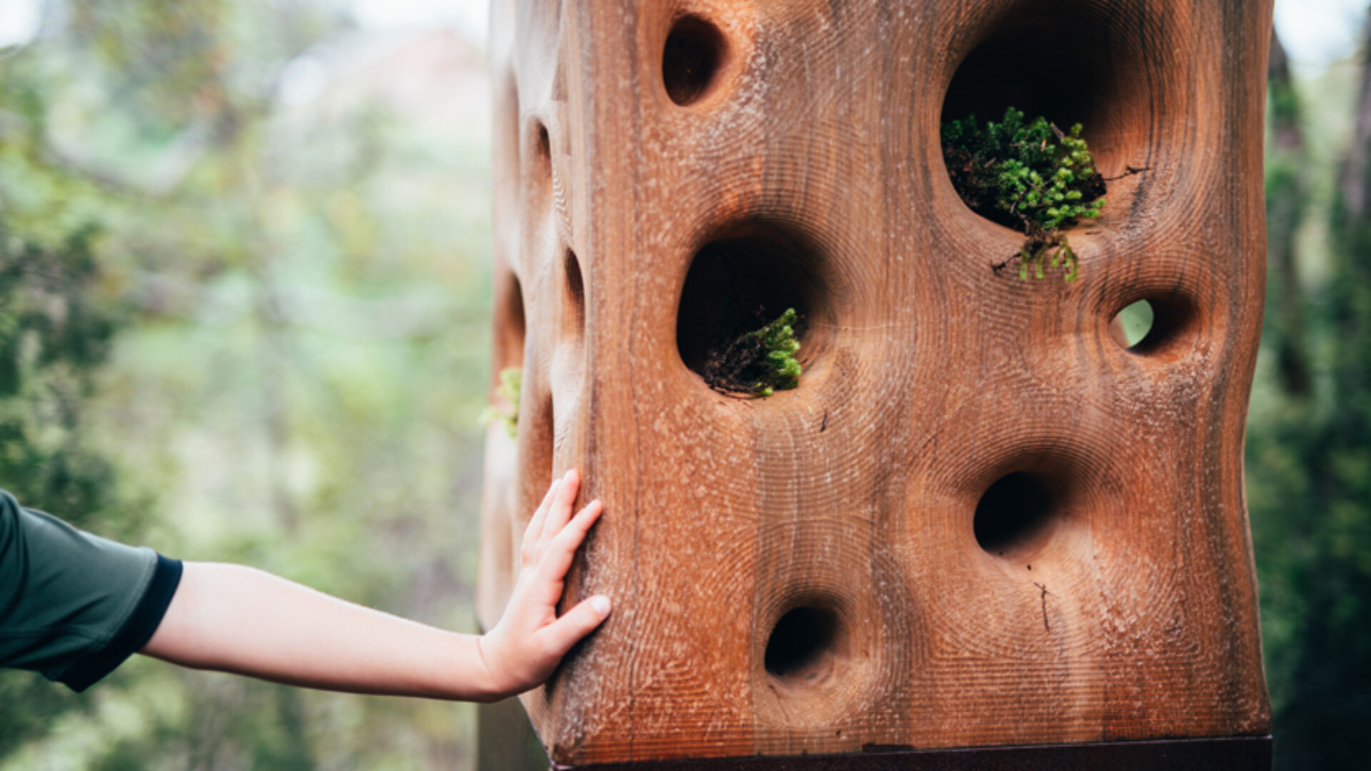 Sustainability Resources - SEGD - Designers of Experiences