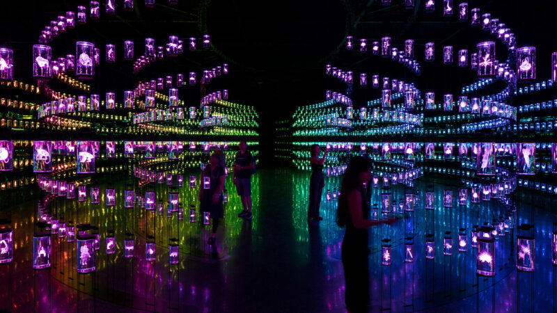 Museum of the Future – Journey of the Pioneers - SEGD - Designers of ...