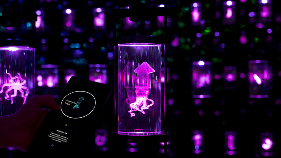 Museum of the Future – Journey of the Pioneers - SEGD - Designers of ...