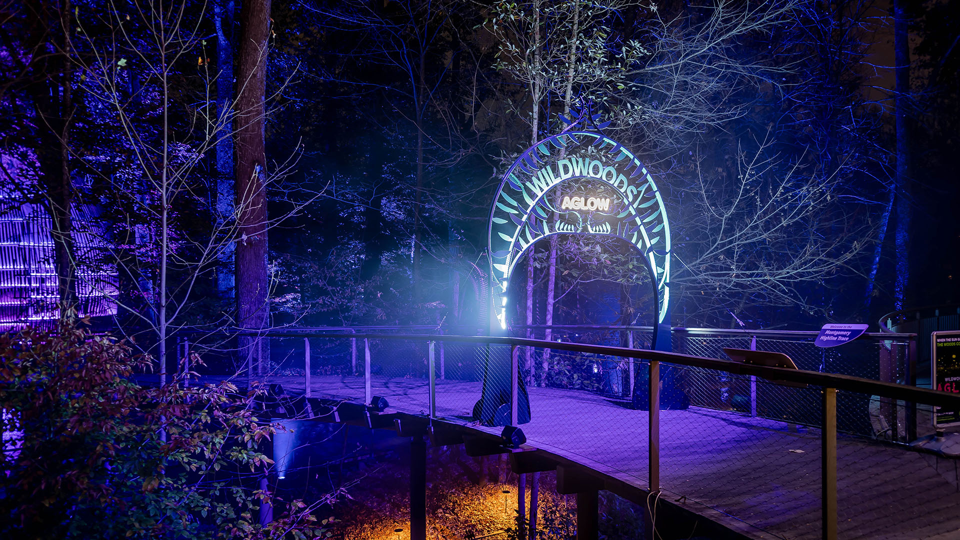 wildwoods-aglow-at-the-fernbank-museum-segd-designers-of-experiences